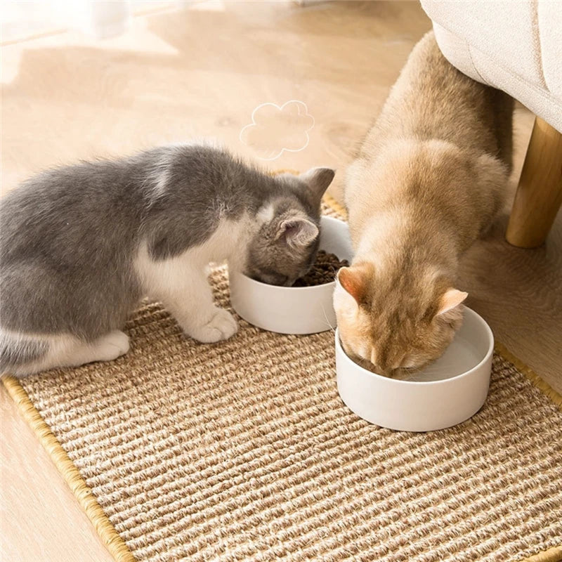 Protetor de Sofá para Gatos com Arranhador de Sisal e Fecho de Velcro